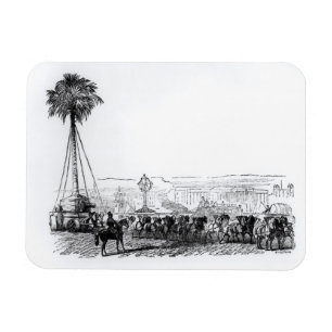 Magnet Flexible Un palmier étant transporté à Hyde Park pour