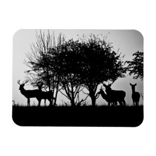 Magnet Flexible Une image de quelques cerfs communs dans la brume