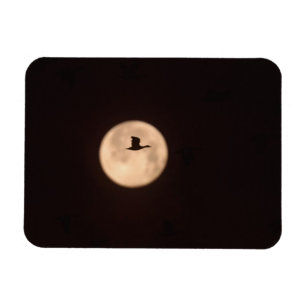 Magnet Flexible Une Oie De Neige Contre Une Pleine lune   Nouveau-