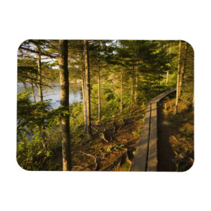 Magnet Flexible Une promenade en bois dans le parc national Acadia