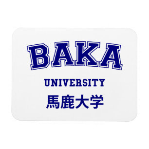 MAGNET FLEXIBLE UNIVERSITÉ DE BAKA