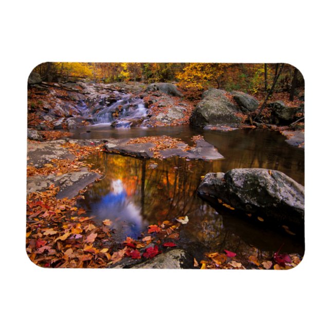 Magnet Flexible Upper Whiteoak Falls, Parc national de Shenandoah, (Horizontal)