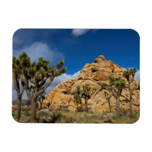 Magnet Flexible USA, Californie, Parc national de Joshua Tree