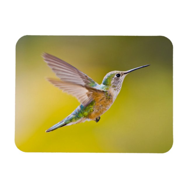 Magnet Flexible USA, Colorado, Summit County, Heeney. Vue de côté (Horizontal)