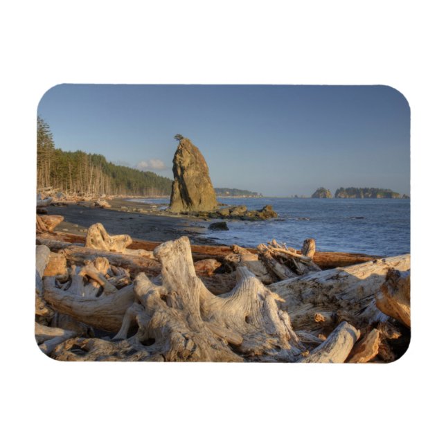 Magnet Flexible USA, Washington, Parc National Olympique, Rialto (Horizontal)