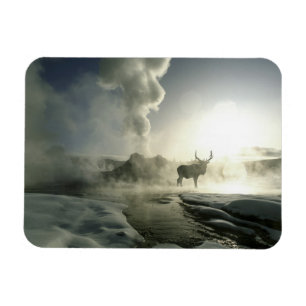 Magnet Flexible USA, Wyoming, Parc National de Yellowstone. Soleil