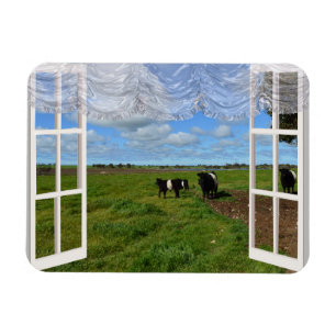 Magnet Flexible Vaches de gris à travers une fenêtre, aimant flexi