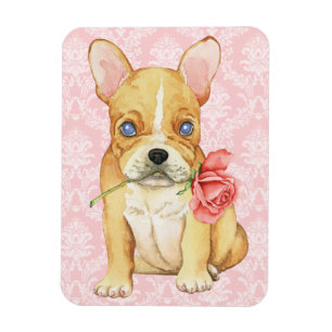 Magnet Flexible Valentine Rose Frenchie
