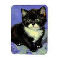 Van Gogh Tuxedo Kitten