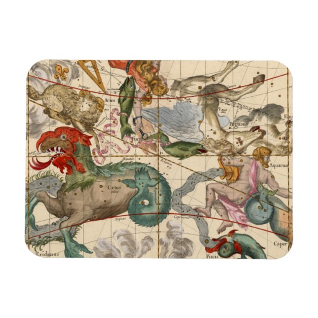 Magnet Flexible Vernal (Horizontal)