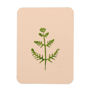 Magnet Flexible vert de printemps
