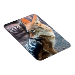 Magnet Flexible Veste à dos noir [Magnet photo]