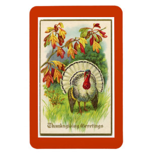 Magnet Flexible Vintage Thanksgiving Turquie