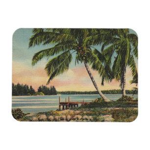 Magnet Flexible Vintage Tropical Palm Tree Sunset