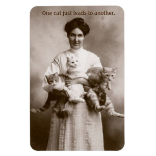 Magnet Flexible Vintage - Un chat mène à un autre,