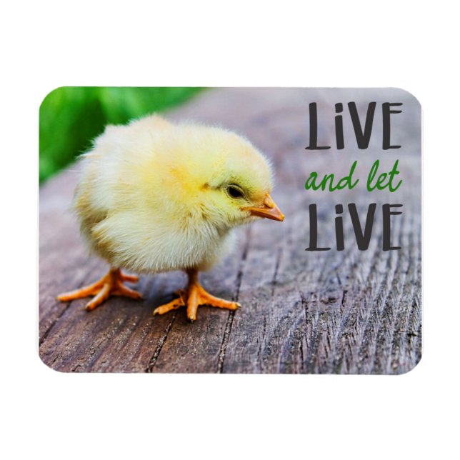 Magnet Flexible "Vis et laisse vivre" vegan (Horizontal)