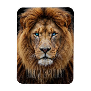 Magnet Flexible Visage de lion majestueux aux yeux bleus   Faune A
