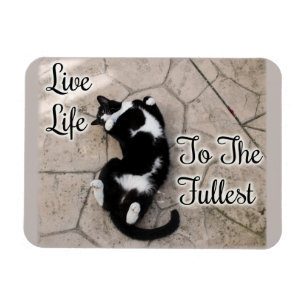 Magnet Flexible Vivre la vie à l'art de chat le plus motivant