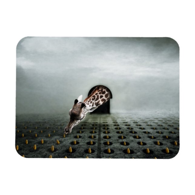 Magnet Flexible voleur de tulipe 2 2013 (Horizontal)