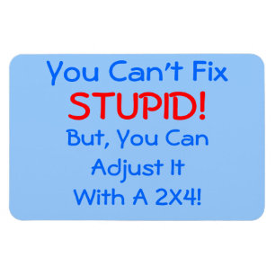 Magnet Flexible Vous ne pouvez pas réparer STUPID !, mais vous pou