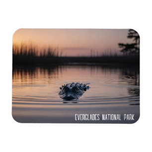 Magnet Flexible Voyage Alligator Everglades Floride