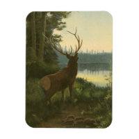 Vue arrière du lac Elk Vue sur un lac