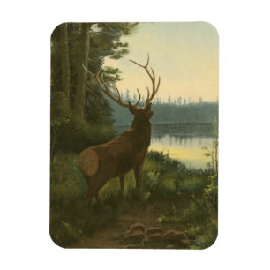 Magnet Flexible Vue arrière du lac Elk Vue sur un lac