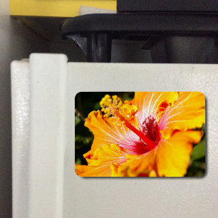 Magnet Flexible Vue latérale de l'Hibiscus orange