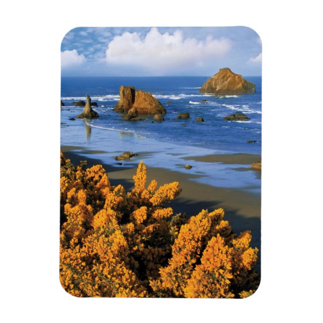 Magnet Flexible Vue Plage De L'Oregon À Bandon (Vertical)