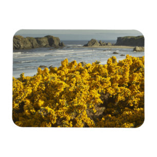 Magnet Flexible Vues côtières, Bandon, Oregon