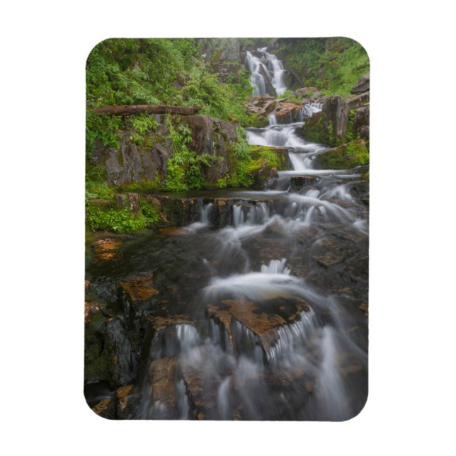 Magnet Flexible Washington, Parc national du Mont Rainier 2 (Vertical)