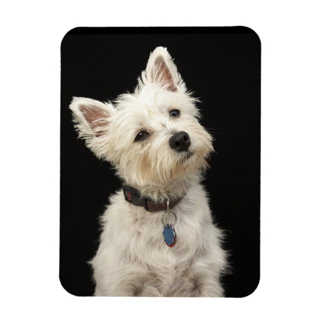 Magnet Flexible Westie (West Highland terrier) avec col (Vertical)