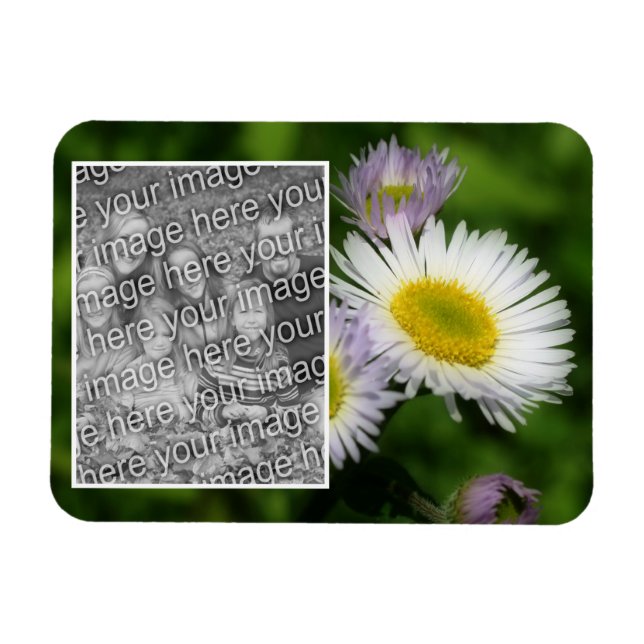 Magnet Flexible Wild Fleabane Daisy Cadre Fleur Ajouter Votre Phot (Horizontal)
