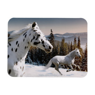 Magnet Flexible Winter Wonderland