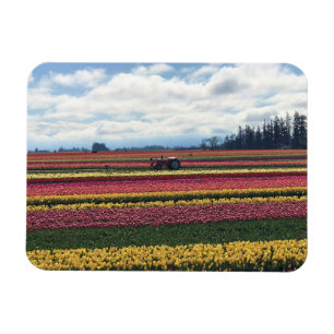 Magnet Flexible Wooden Shoe Tulip Farm, Woodburn, Oregon