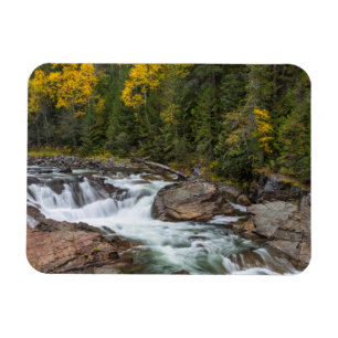 Magnet Flexible Yaak Chute À L'Automne Dans Le Kootenai National