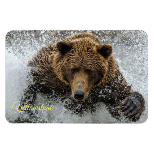 Magnet Flexible Yellowstone Magnet-Bear