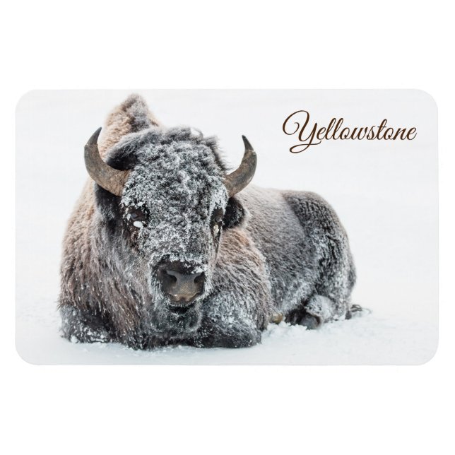 Magnet Flexible Yellowstone Magnet-Buffalo (Horizontal)