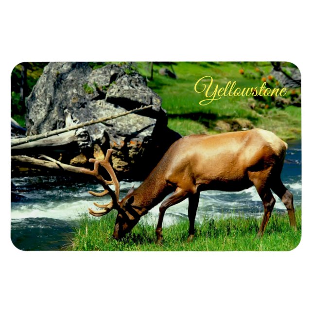 Magnet Flexible Yellowstone Magnet-Elk (Horizontal)