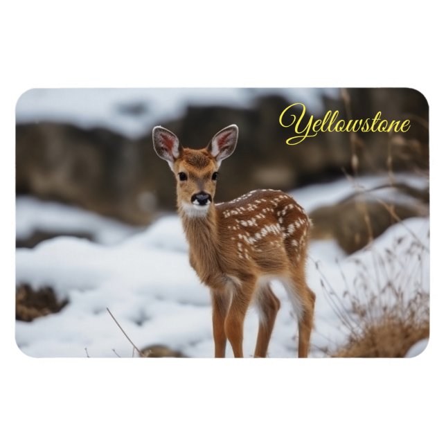 Magnet Flexible Yellowstone Magnet-Fawn Deer (Horizontal)