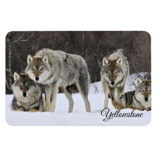 Magnet Flexible Yellowstone Magnet-Wolves (Horizontal)