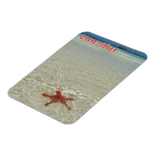 Magnet Flexible Zanzibar - Vue mer - Starfish -