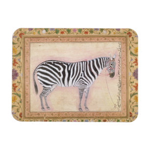 Magnet Flexible Zèbre, du "album de Minto", 1621 (gouache sur la