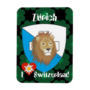 Magnet Flexible Zurich Suisse