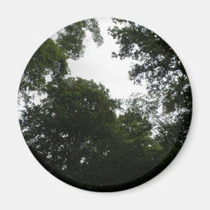 Magnet forestier déplaisant