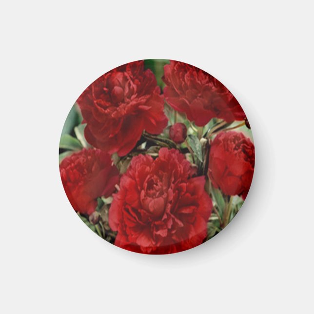 Magnet für Blume (Vorne)