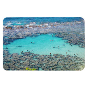 Magnet für hawaiianisches Foto