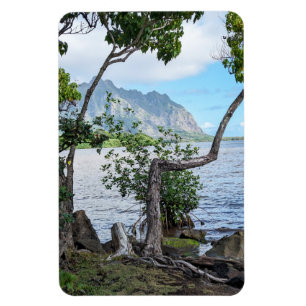 Magnet für hawaiianisches Foto