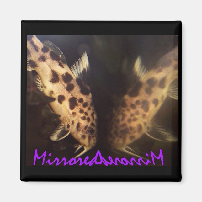 Magnet für Katfische (gespiegelt) (Vorne)