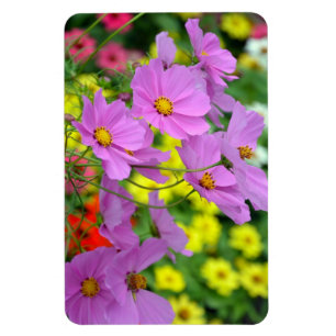 Magnet für lila Blume